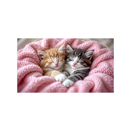 3 x 16:9 Dreamy Kittens 4K Desktop Wallpaper Bundle