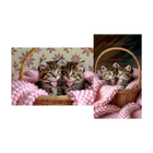 Cute Kittens 4K Phone & Desktop Wallpaper Bundle 9:16 & 16:9